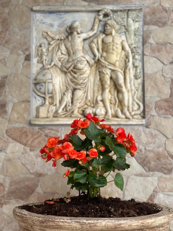 The Odyssey Holiday Home - Agios Ioannis, Pelion Agios Ioannis  Exterior foto